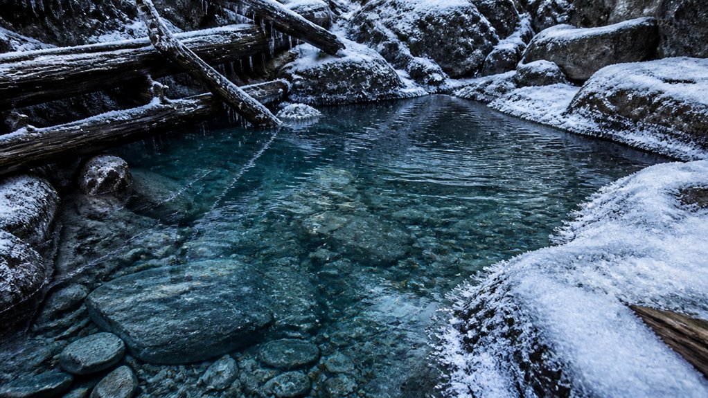 cold exposure enhances resilience