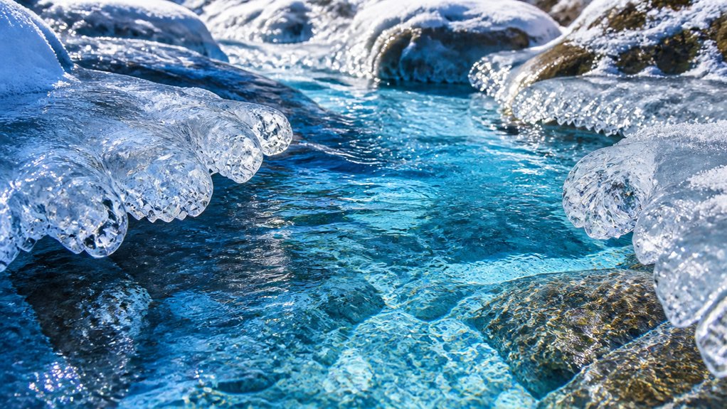 cold plunges enhance resilience