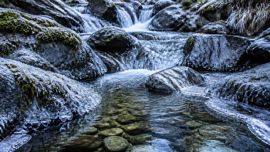 cold water enhances brain function