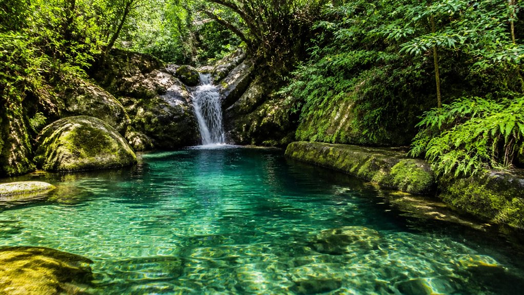 How-to: Plunge Therapy to Reduce Social Anxiety