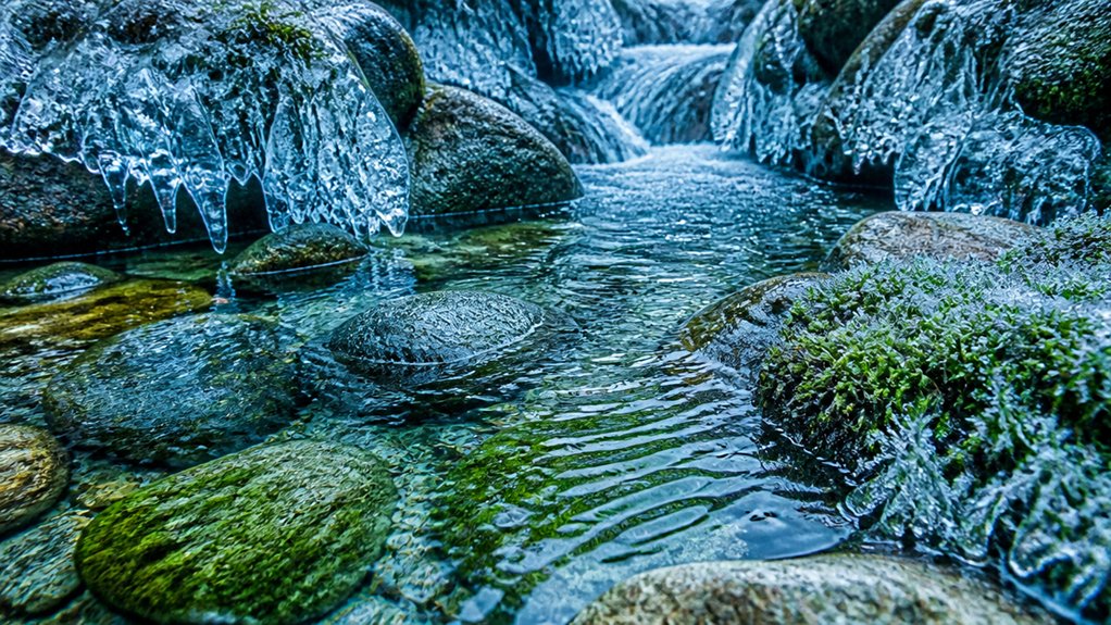 cold water triggers nervous system